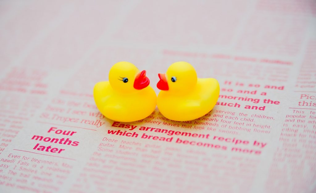 あひるちゃんカップル